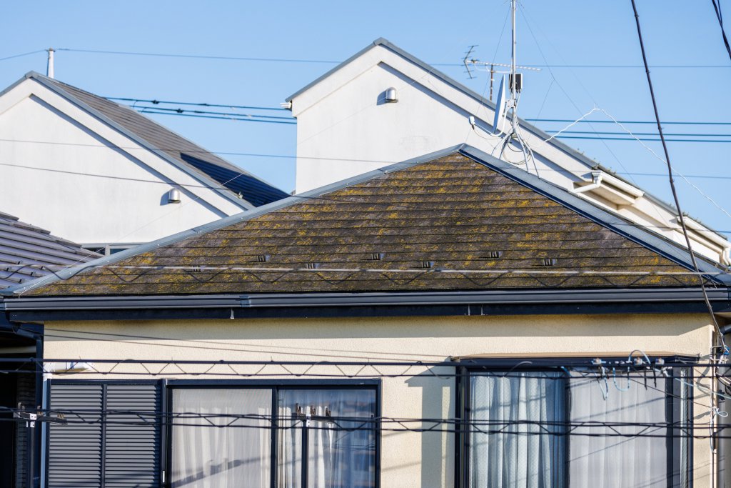 苔の生えた戸建て住宅